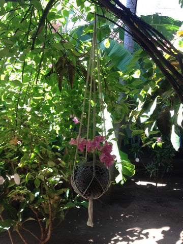 Macrame Plant Hangers, Hanging Planter, Plant Hangers, Hanging Plant Holders, Hanging Plants, Macrame Plant Holder, Hanging Basket Plants, Hanging Basket - Socially Positive - Mission Hammocks - 1